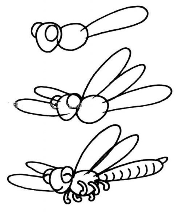 How to draw a dragonfly