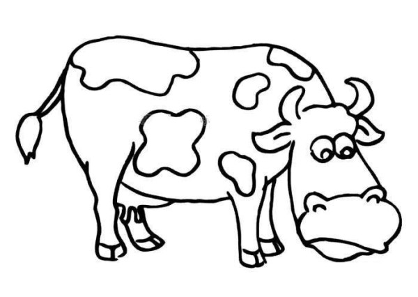 Simple drawing of cow eating grass