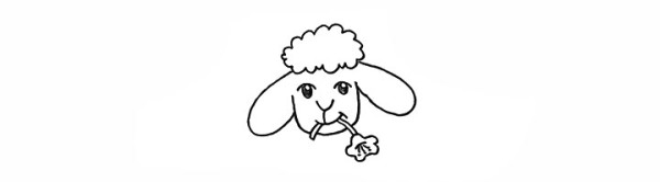 How to draw a little sheep