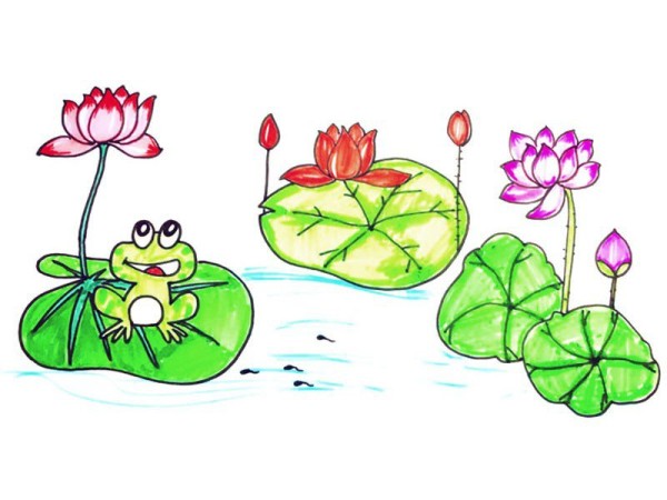 Simple drawing of beautiful lotus pond