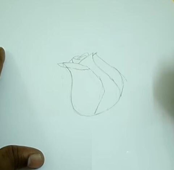 Step by step drawing of simple rose flower