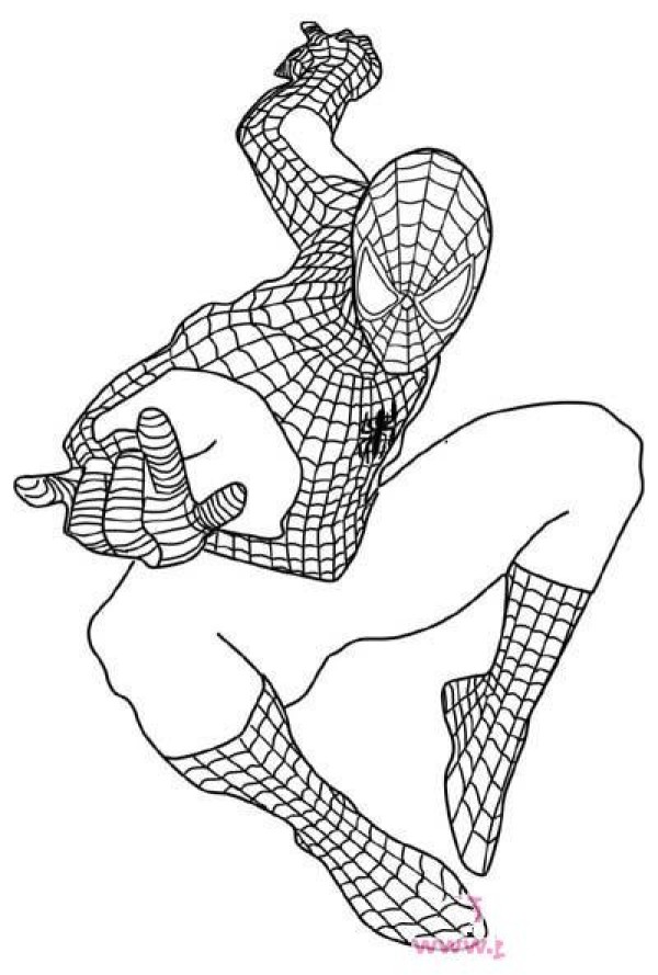 The Amazing Spider-Man Simple Drawing Picture Collection