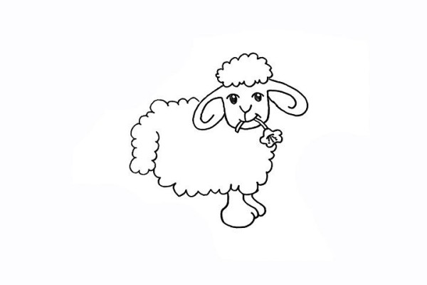 How to draw a little sheep