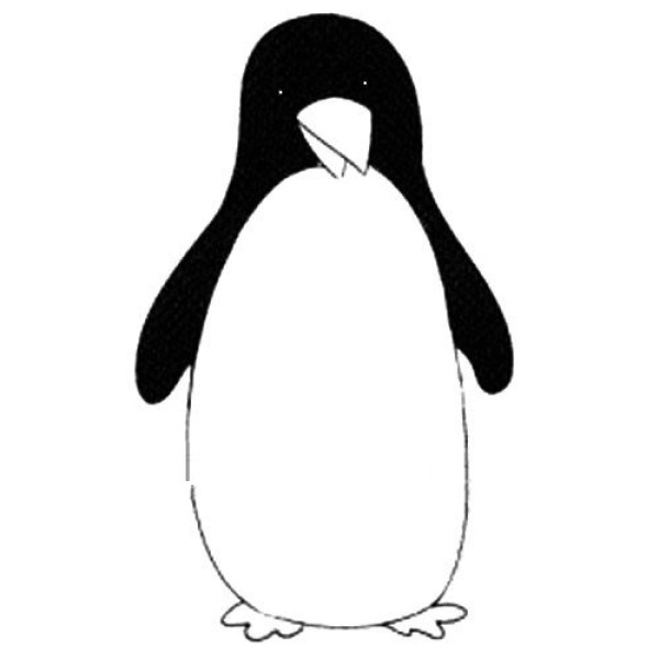 animal drawing penguin