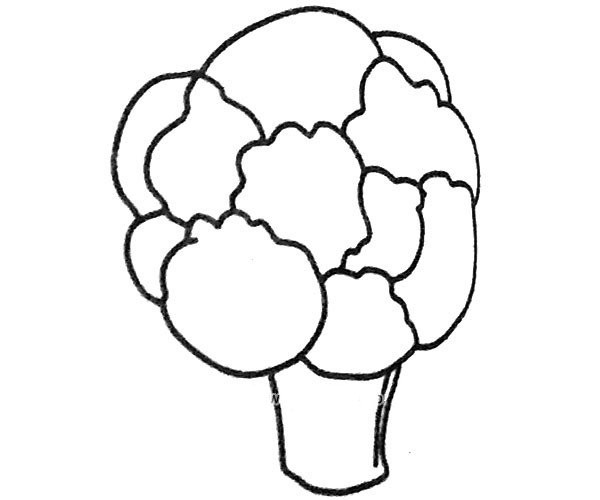 5 simple drawing pictures of broccoli