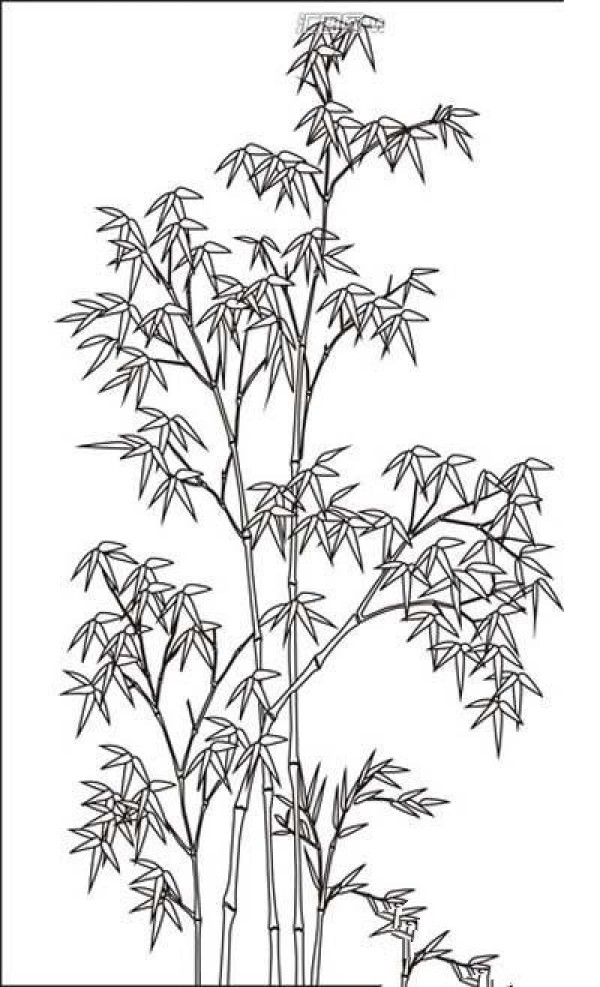 Simple drawing of bamboo tree