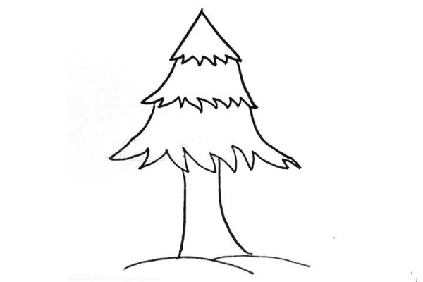 How to draw a simple pine tree