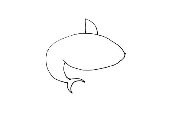 Learn to draw a shark