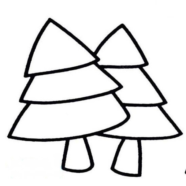 Simple drawing picture of two large coniferous trees