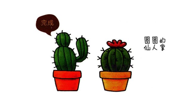 Learn to draw beautiful cactus