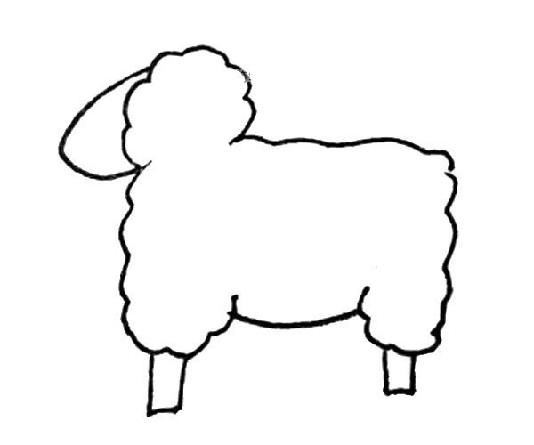 Learn to draw cute sheep