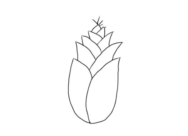 Simple drawing of bamboo shoots for children and their children