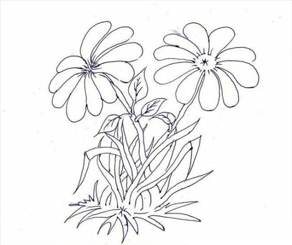 Complete collection of simple drawings of flowers, simple drawings of chrysanthemums