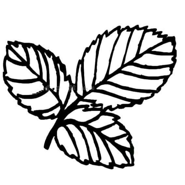 Simple strokes of tree leaves