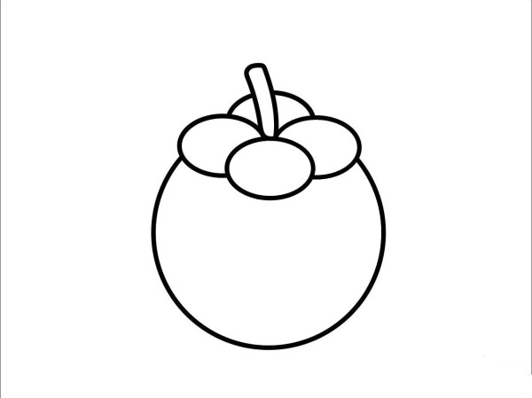 How to draw mangosteen