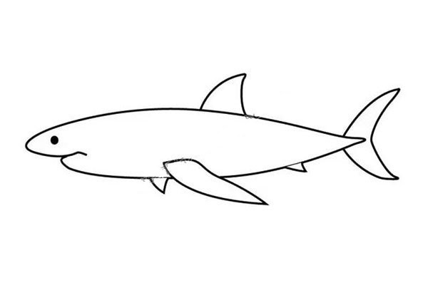 How to draw a shark