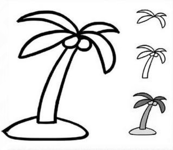 Simple coconut tree drawing pictures for primary school students