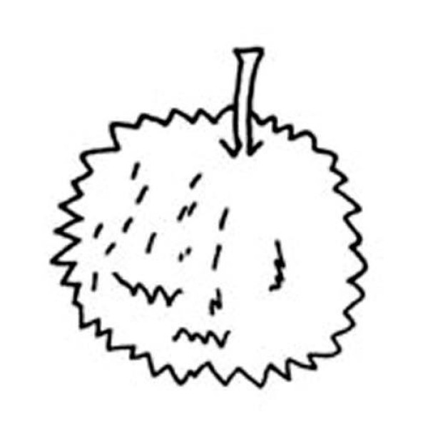 Childrens simple drawing picture of durian