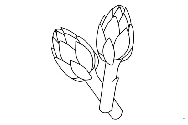 Artichoke simple drawing with color