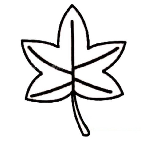 A simple drawing of a maple leaf