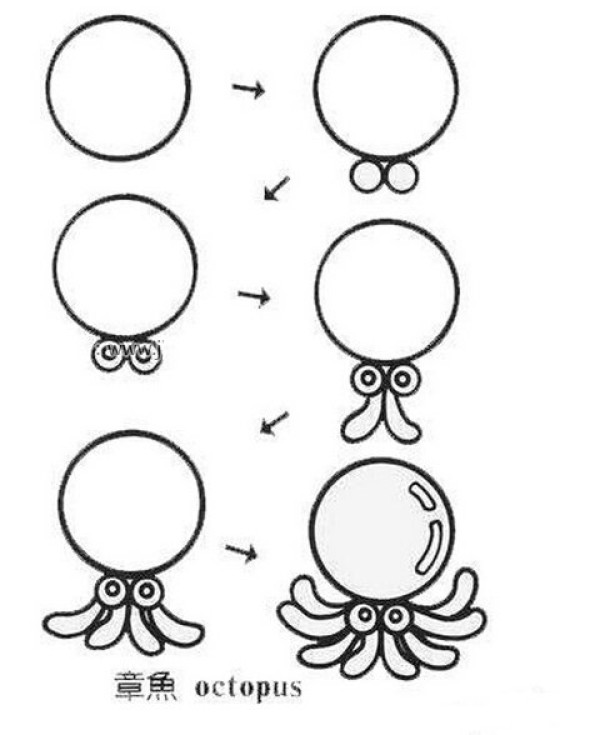 Octopus simple strokes drawing tutorial