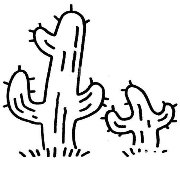 Childrens simple drawing pictures of cactus