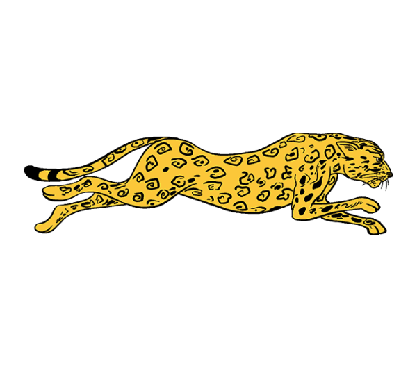 Cheetah simple drawing