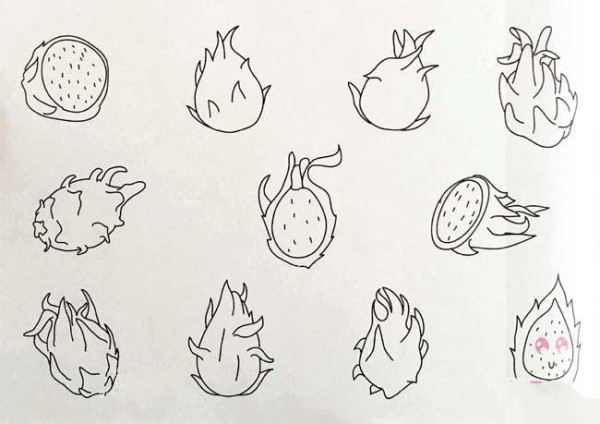 A collection of simple drawing pictures of various pitayas