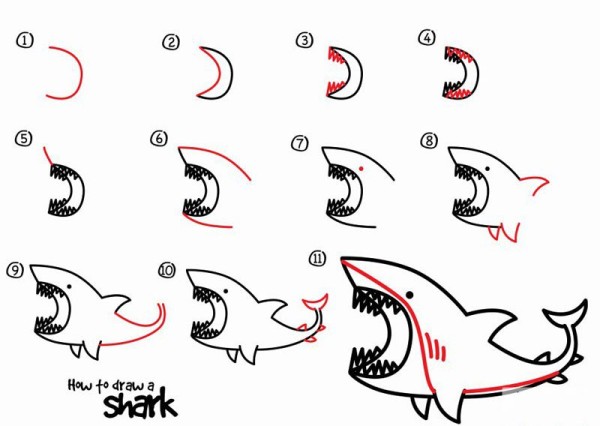 How to draw a shark Shark simple drawing tutorial