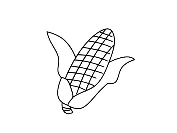 Simple picture of corn