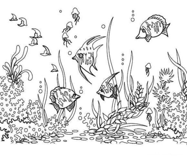 Beautiful underwater world simple drawing pictures