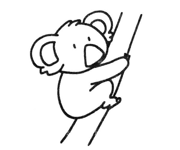 Learn to draw a cute koala in four steps