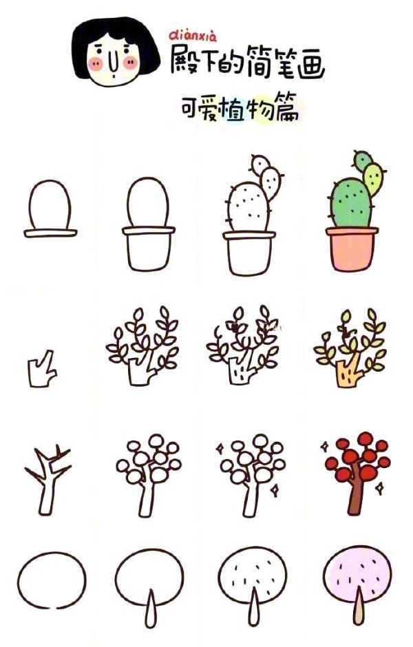 Step-by-step drawings of simple drawings of four kinds of plants