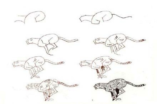 Simple drawing tutorial step by step drawing of leopard