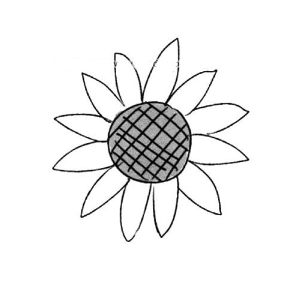 Autumn Flowers Sunflower Simple Drawing Tutorial