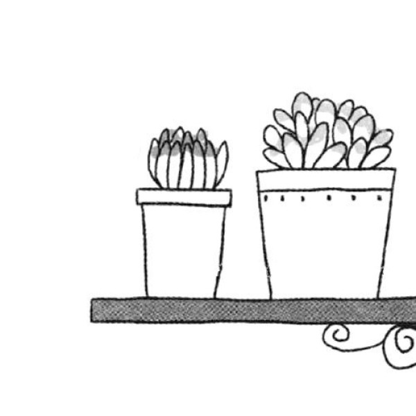 Simple drawing of potted plants succulents