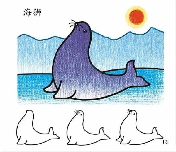 Teach you how to draw a sea lion