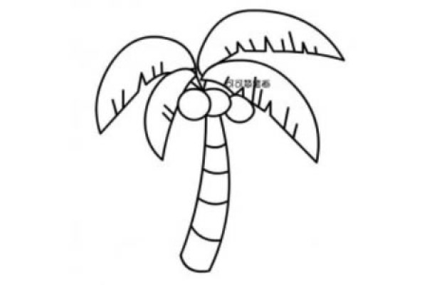 How to draw a tall coconut tree simple drawing picture