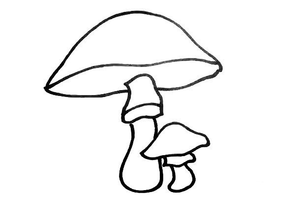 How to draw cute mushrooms