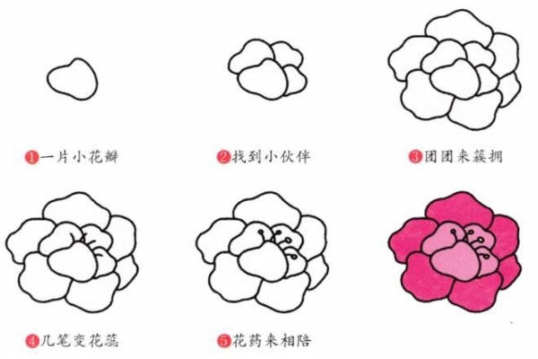 How to draw peonies