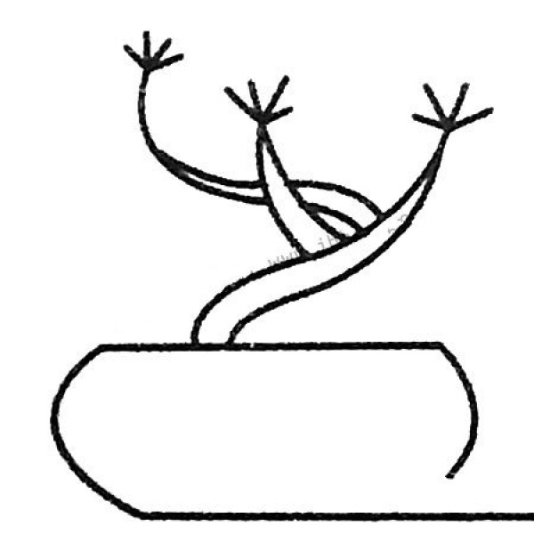 Simple drawing of small tree bonsai