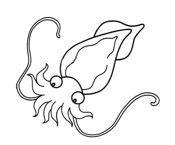 Simple strokes of octopus