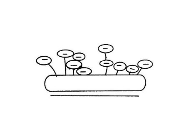 Simple drawing of beautiful small flower bonsai