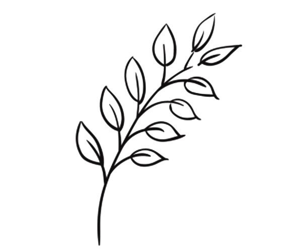 A set of beautiful simple drawing pictures of leaves