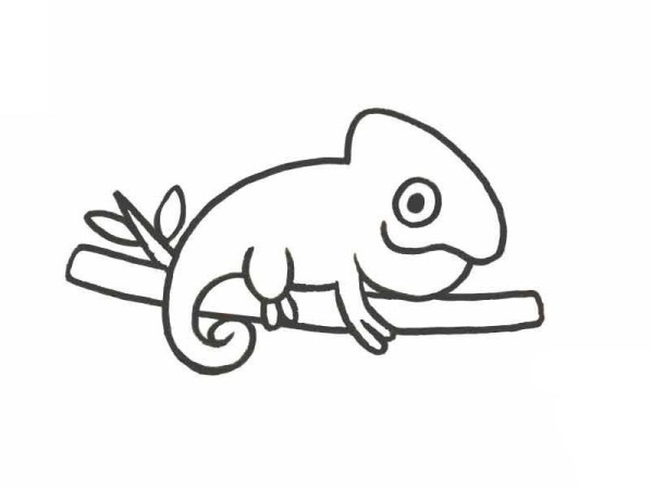 Simple drawing of chameleon