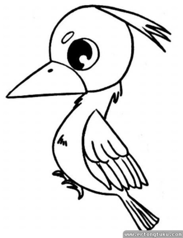 Cartoon Woodpecker Simple Drawing Tutorial