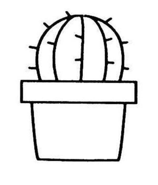 Childrens simple drawing pictures of cactus