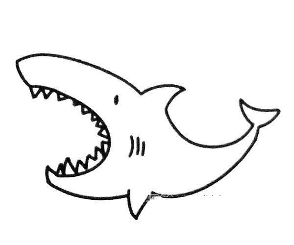 A set of cartoon shark simple drawing pictures