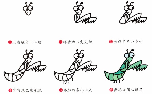 Decomposition of the simple drawing of insect little praying mantis