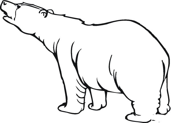 Simple polar bear drawing method